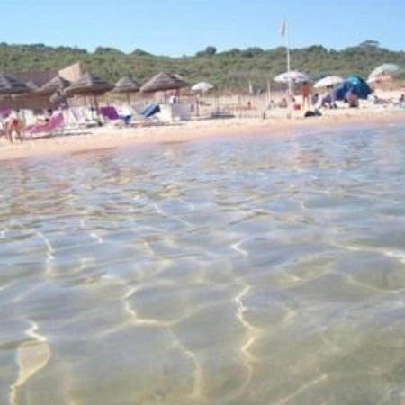 La Casa Di Angy Βίλα Terrasini Εξωτερικό φωτογραφία